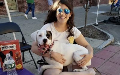 Naugatuck Spring Festival 2019 | Event Recap