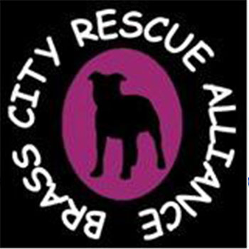 Brass City Rescue Alliance