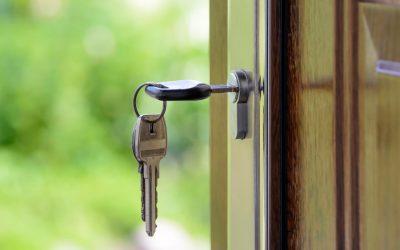 How Your Pet Sitter Accesses Your Home