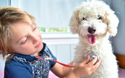 COVID-19 and Pets – What You Should Know