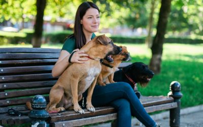 How We Hire the Best Dog Walkers and Pet Sitters