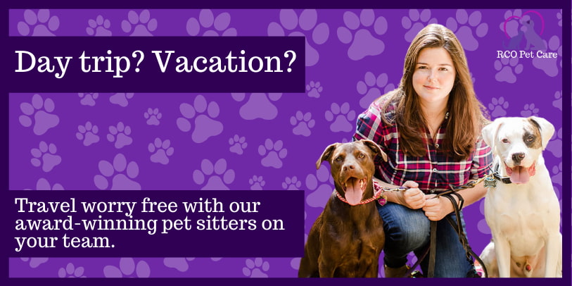 Pet Sitter Near Me Prices / 2019 Average Pet Sitting Rates In Plano Tx Vip Pet Services The