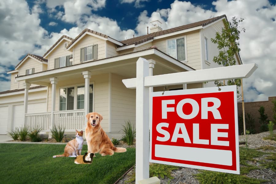 Selling a Home with Pets in Connecticut: 3 Things to Consider